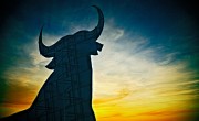 The Black Bulls of Spain: The Truth