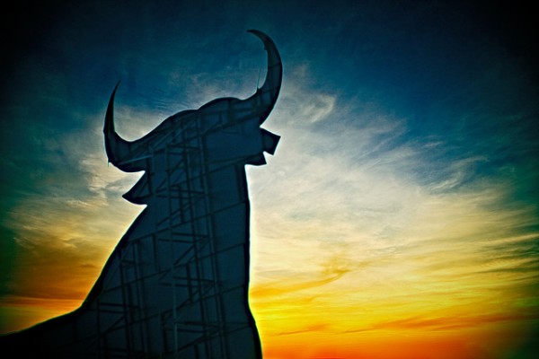 The Black Bulls of Spain: The Truth