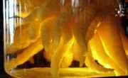 10 Freaky Fruits of the World